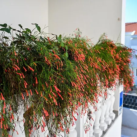 Apartman Frle 3 Zadar